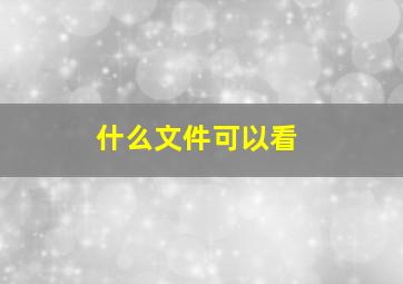 什么文件可以看