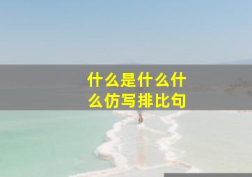 什么是什么什么仿写排比句