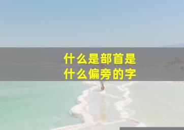 什么是部首是什么偏旁的字