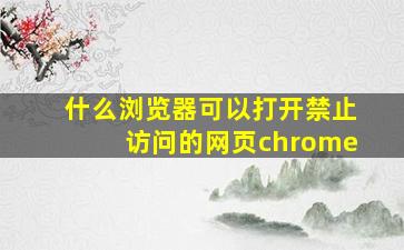 什么浏览器可以打开禁止访问的网页chrome