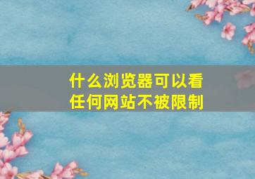 什么浏览器可以看任何网站不被限制