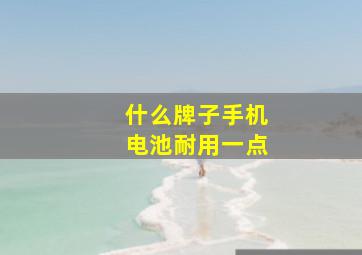 什么牌子手机电池耐用一点