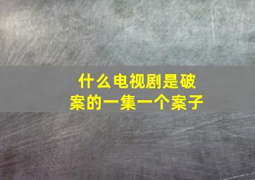 什么电视剧是破案的一集一个案子