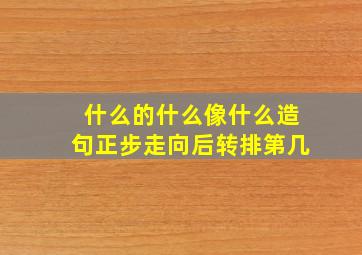 什么的什么像什么造句正步走向后转排第几