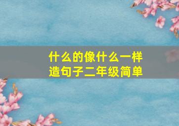 什么的像什么一样造句子二年级简单