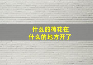 什么的荷花在什么的地方开了