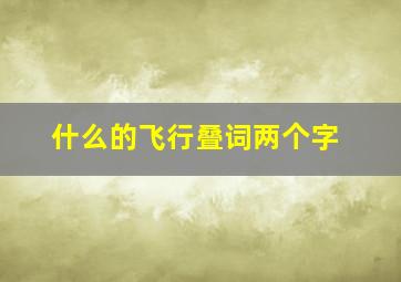 什么的飞行叠词两个字