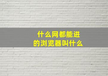 什么网都能进的浏览器叫什么