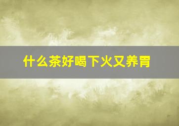 什么茶好喝下火又养胃