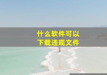 什么软件可以下载违规文件