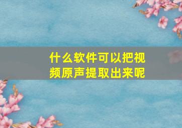 什么软件可以把视频原声提取出来呢