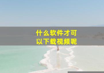 什么软件才可以下载视频呢