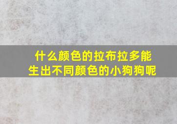 什么颜色的拉布拉多能生出不同颜色的小狗狗呢