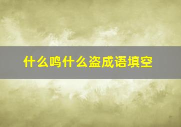 什么鸣什么盗成语填空