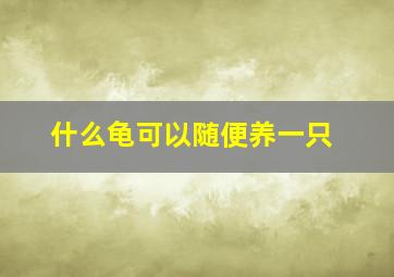 什么龟可以随便养一只