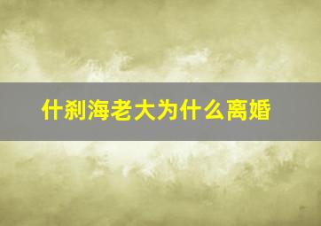 什刹海老大为什么离婚