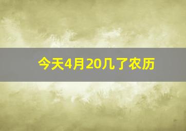 今天4月20几了农历