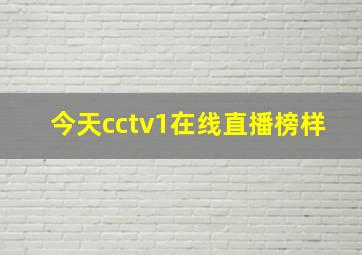 今天cctv1在线直播榜样