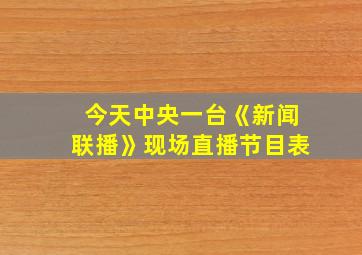 今天中央一台《新闻联播》现场直播节目表