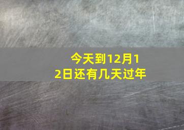 今天到12月12日还有几天过年