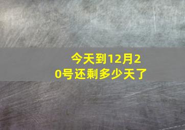 今天到12月20号还剩多少天了