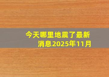 今天哪里地震了最新消息2025年11月