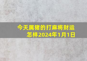 今天属猪的打麻将财运怎样2024年1月1日