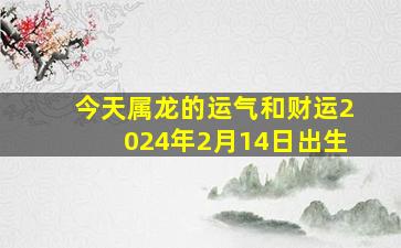 今天属龙的运气和财运2024年2月14日出生