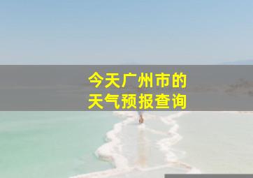 今天广州市的天气预报查询