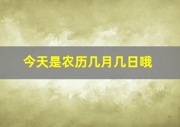 今天是农历几月几日哦