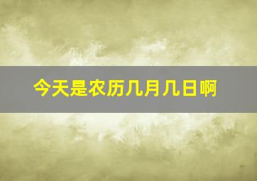 今天是农历几月几日啊