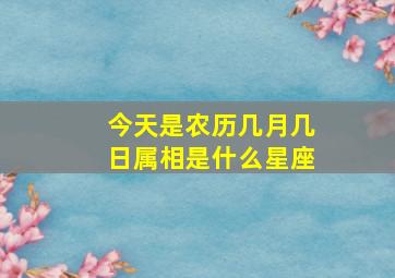 今天是农历几月几日属相是什么星座