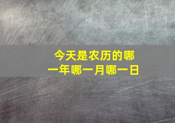 今天是农历的哪一年哪一月哪一日