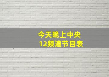 今天晚上中央12频道节目表