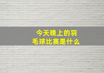 今天晚上的羽毛球比赛是什么