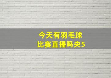 今天有羽毛球比赛直播吗央5