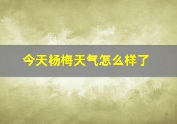 今天杨梅天气怎么样了