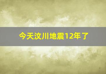 今天汶川地震12年了