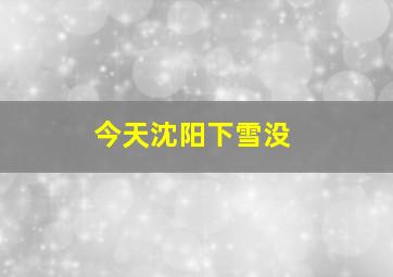 今天沈阳下雪没