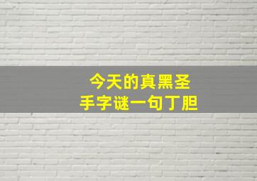 今天的真黑圣手字谜一句丁胆