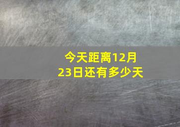 今天距离12月23日还有多少天