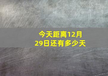 今天距离12月29日还有多少天