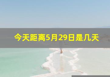 今天距离5月29日是几天