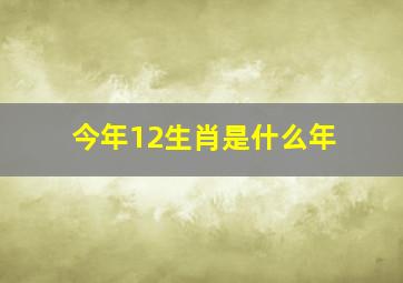 今年12生肖是什么年