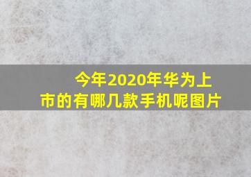 今年2020年华为上市的有哪几款手机呢图片