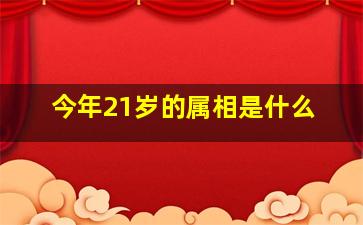 今年21岁的属相是什么