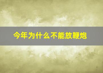 今年为什么不能放鞭炮