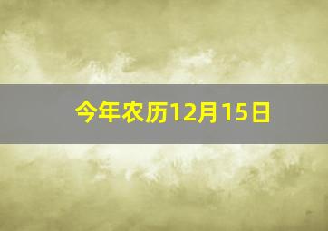 今年农历12月15日