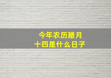 今年农历腊月十四是什么日子