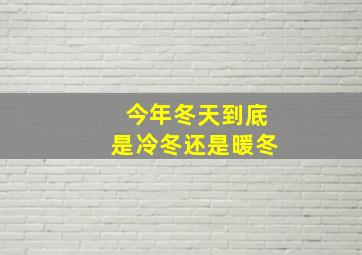 今年冬天到底是冷冬还是暖冬